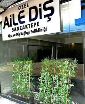 sancaktepe sube 50452